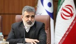 آب سنگین ایران از نظر کیفیت در رتبه نخست دنیا قرار دارد/ پروتکل‌های ایران برای ورود بازرسان آژانس به کشور