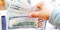 فهرست کالا‌های کشاورزی وارداتی مشمول دریافت ارز اعلام شد