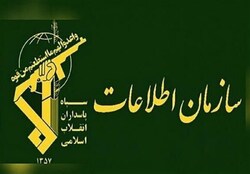 دستگیری ۱۲ متهم قاچاق یک میلیون لیتر سوخت خودرو‌های اسقاطی