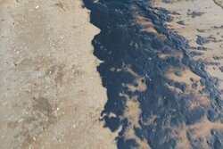 علت آلودگی نفتی بندر گناوه اعلام شد/سلاجقه: محدوده گناوه در حال پاکسازی از لکه‌های نفتی است