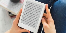۳۷۸۰۰ اثر یکی ازبزرگ‌ترین پلتفرم‌های فروش کتاب غیرمجاز است
