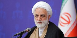 اژه ای: از مأموریت های فراجا در مقابله با قانون شکنی های حوزه حجاب حمایت می کنیم