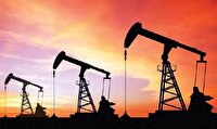 گسترش همکاری‌های نفت و گاز با اعضای بریکس