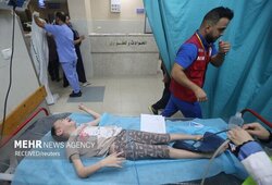 گفت‌وگوی عین اللهی با مقامات خارجی پیرامون فجایع انسانی در غزه