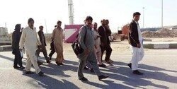 سازمان ملی مهاجرت تشکیل می شود