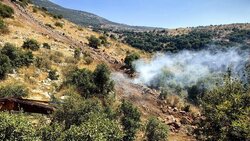 ارتش لبنان و ارتش رژیم صهیونیستی در نقاط مرزی درگیر شدند