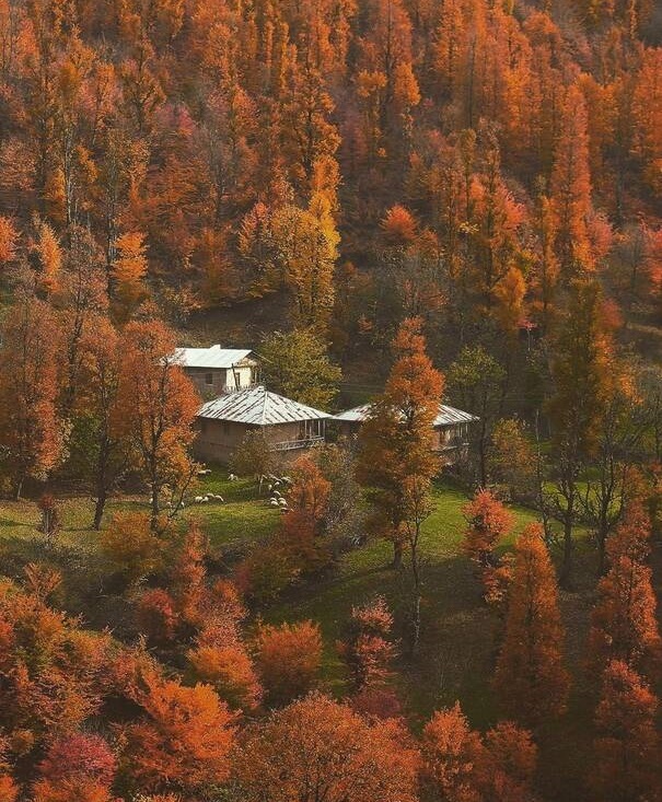 پاییز گیلان روستای پلنگ دره