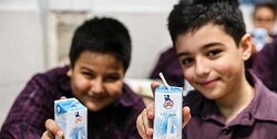 «شیر» تا ۲ هفته دیگر به مدرسه می‌رود