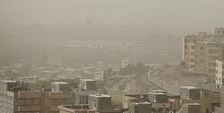 در هوای آلوده چی بیشتر بخوریم؟