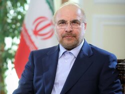 دیدار دو جانبه رئیس مجلس با نخست وزیر سوریه