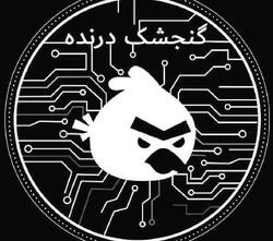 گنجشک دریده! فرق خرابکاری در ۲ مقطع