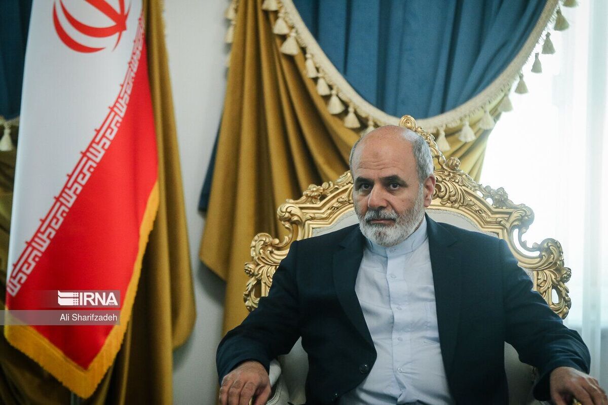 رایزنی احمدیان با مقامات کشور‌های عضو سازمان شانگ‌های
