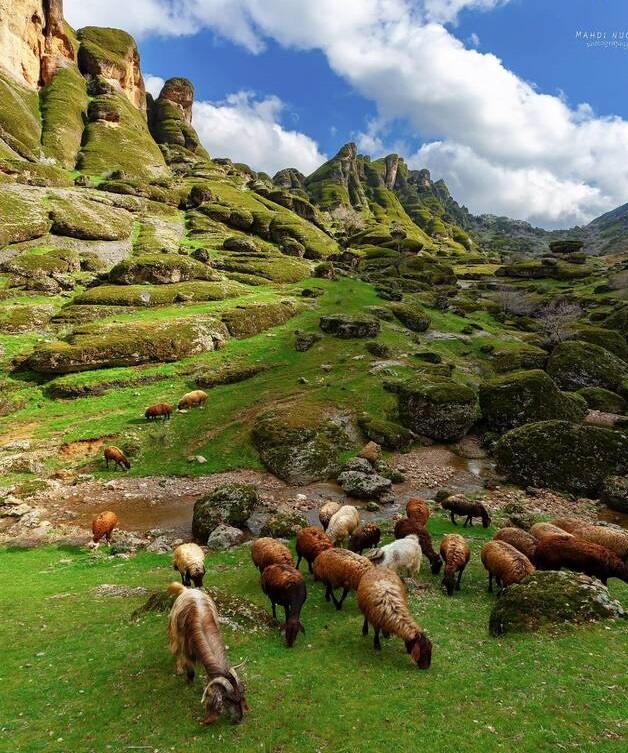 تصویری جالب از طبیعت بهاری مخمل کوه لرستان