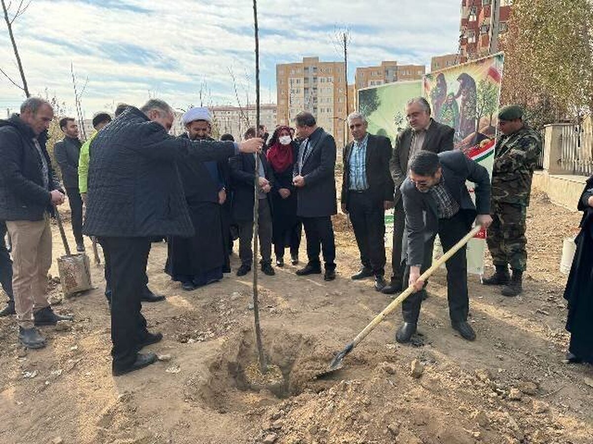 آغاز پویش نهال‌کاری  در سایه مادر  آغاز شد