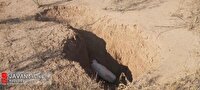 فرونشست دشت قزوین، خطری جدی در مسیر توسعه پایدار استان