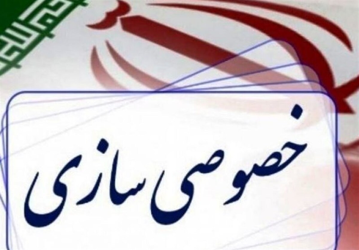 ۲۳۵۶ شرکت مازاد در بخش دولتی! / مشکل خصوصی‌سازی در ایران چیست؟