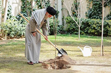 فیلم کاشتن نهال توسط رهبر انقلاب در روز درختکاری