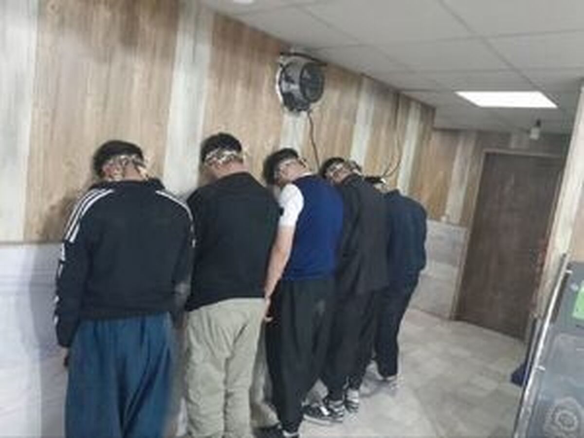 دستگیری عاملان قدرت‌نمایی در مناطق شیخ فضل‌الله و نارمک