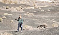 دست بالای سینمای چین نسبت به محصولات پرزرق و برق هالیوودی