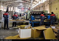 اصلاحات مالیاتی مشارکت مردم را در تولید تسهیل می‌کند