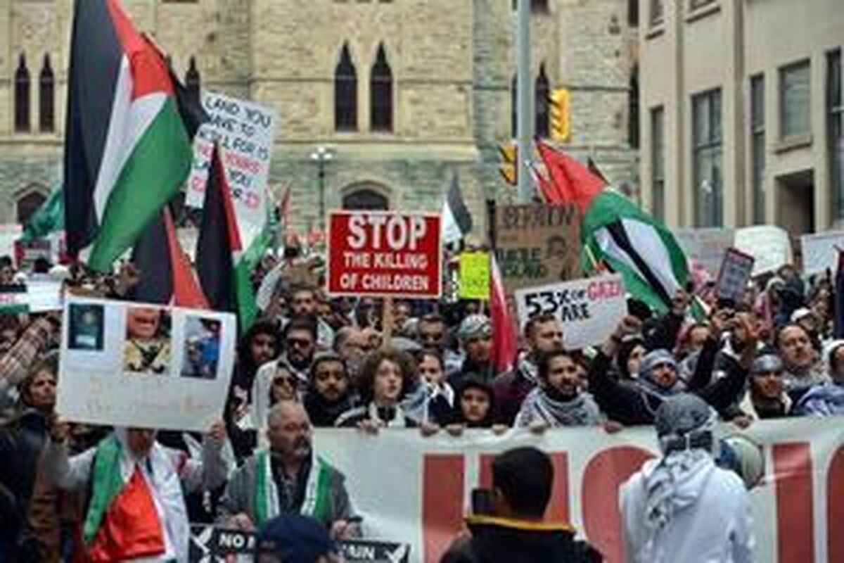 از دانشگاه شریف و تهران تا هاروارد و MIT !