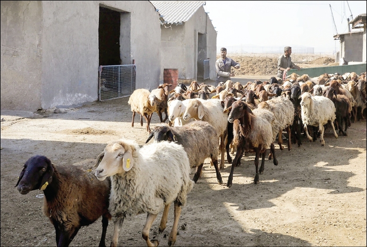 امضا‌های طلایی و رانت در موانع حرایم بهداشتی