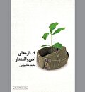 شرحی و در آمدی بر «کناره‌های امن و اقتدار»