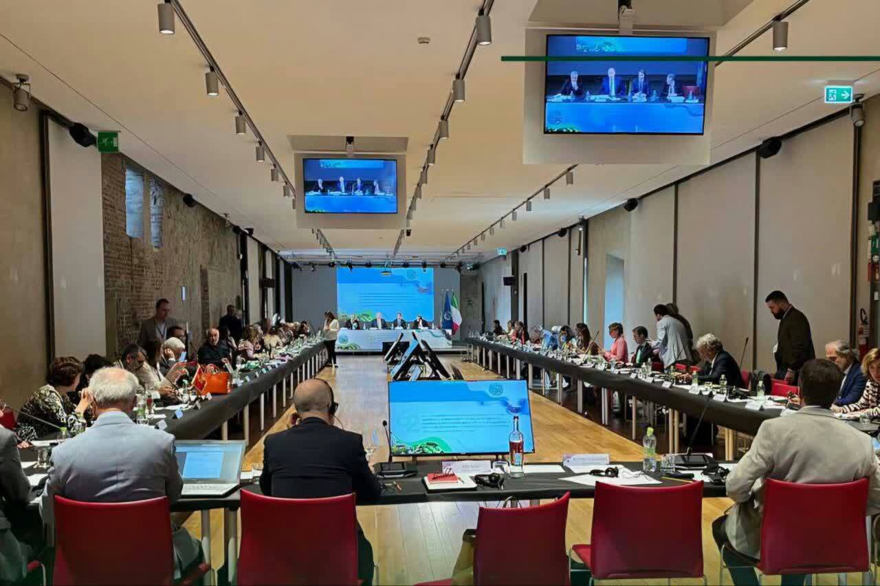 ایران از کمیته مشورتی شورای بین المللی زیتون میزبانی می‌کند