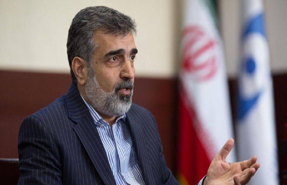 کمالوندی: ایران مقابل فشار‌های سیاسی از حقوق مسلم خود کوتاه نمی‌آید