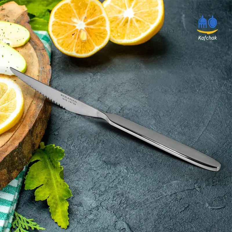 بهترین کارد غذاخوری کدام است؟ | ویژگی های کارد استیک، مرغ و ماهی