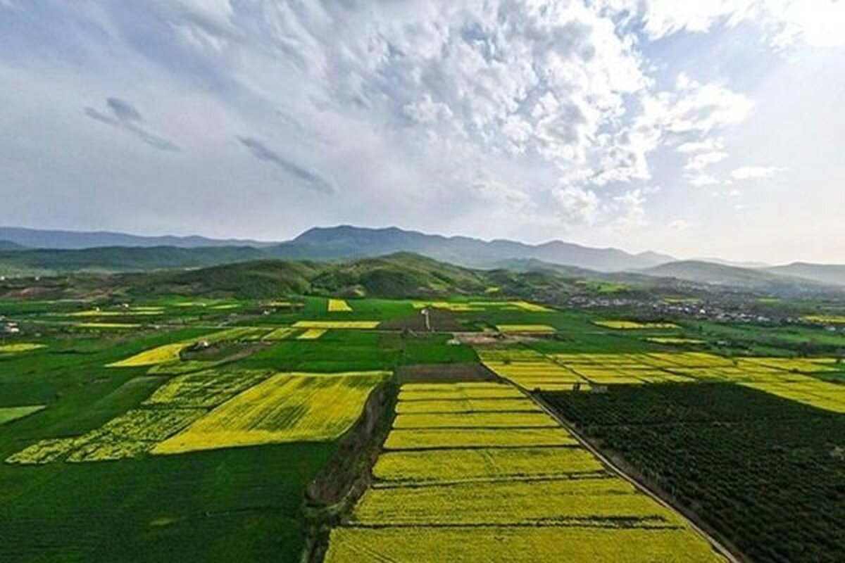 ۱۰۰۰ هکتار اراضی غیر ملی در شهرستان دشتستان تثبیت شد