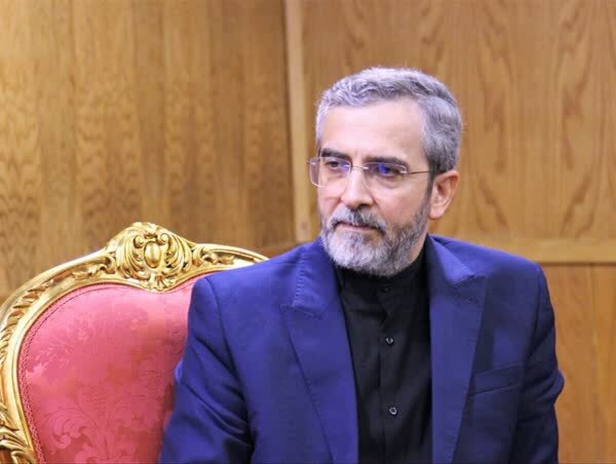 باقری: خون پاک شهید امیرعبداللهیان انقلابی ماندن وزارت خارجه را تضمین کرد