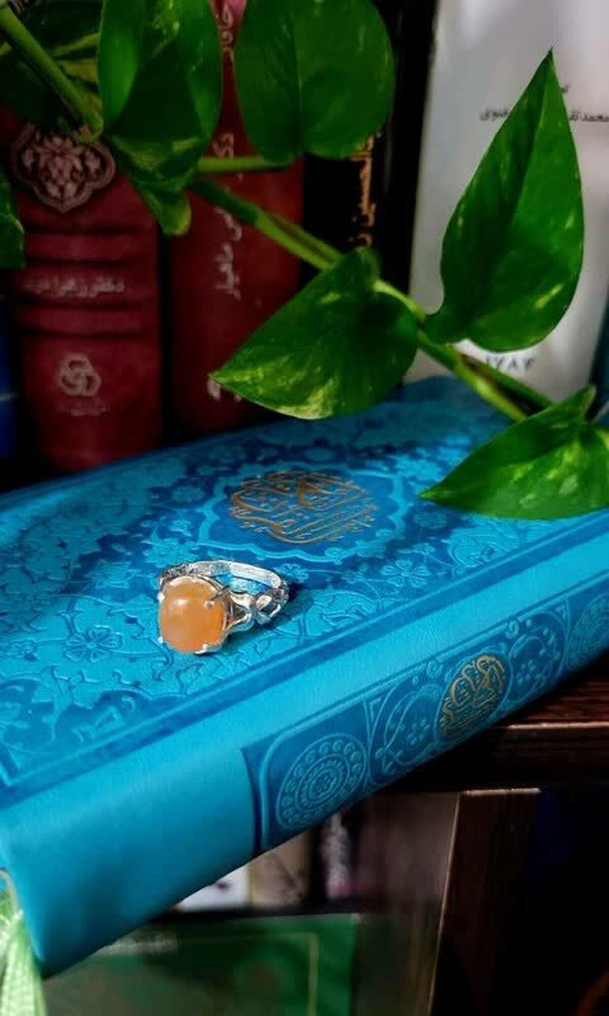 ملی پوش جهادگر البرزی با انگشتر اهدایی رهبری زمینه آزادی هفت زندانی را فراهم آورد
