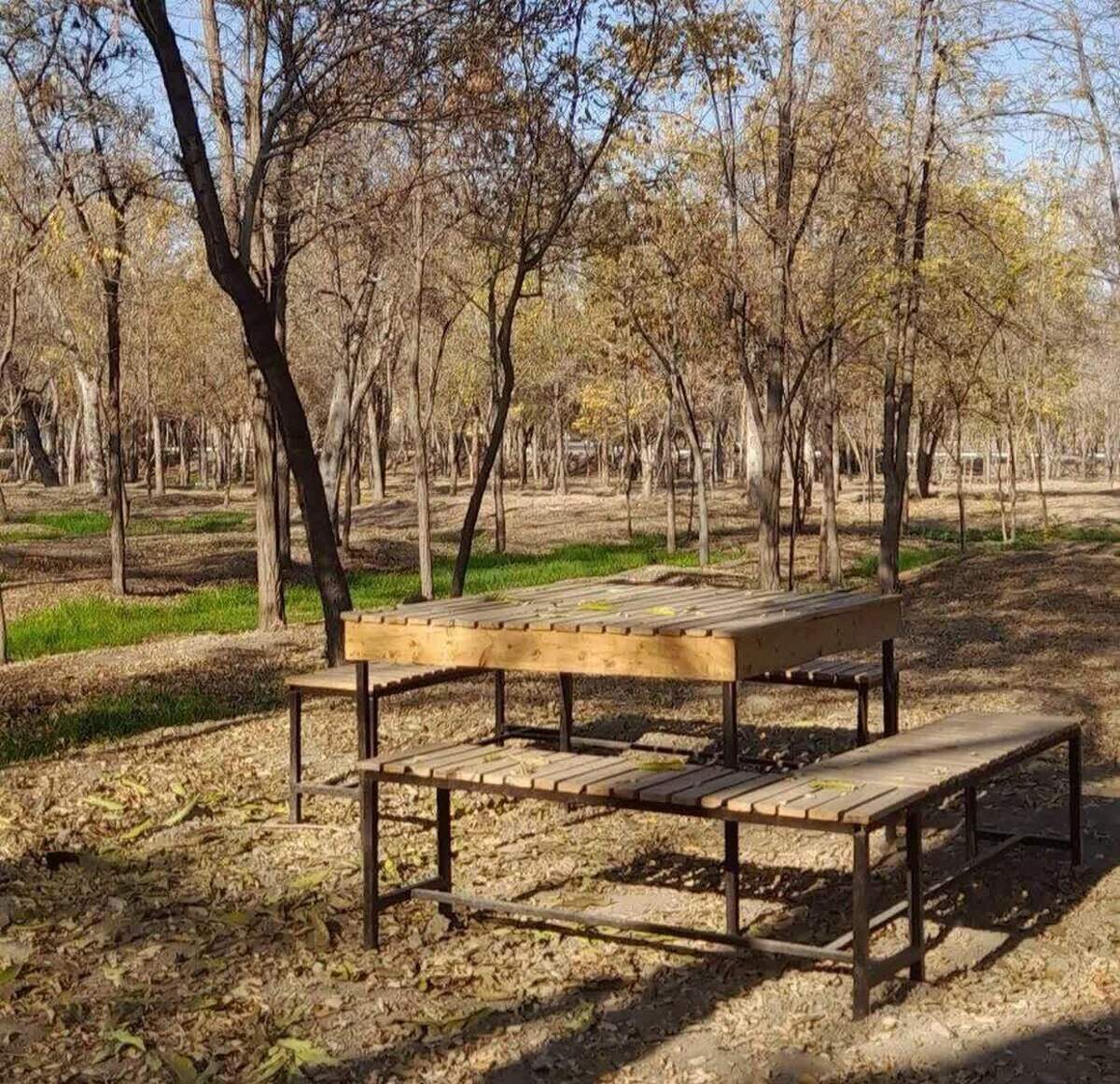 احداث باغ‌های متنوع در بوستان جهانشهر