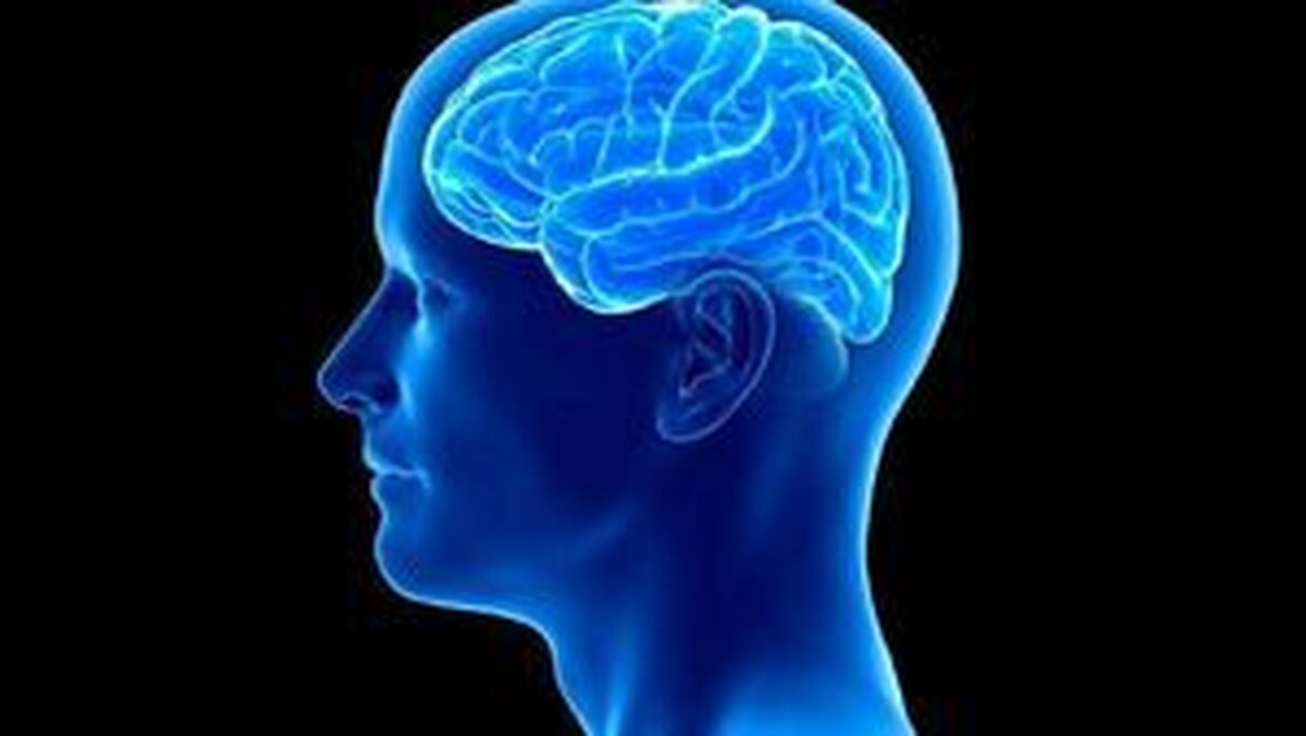 مهم‌ترین عوامل تخریب کننده حافظه