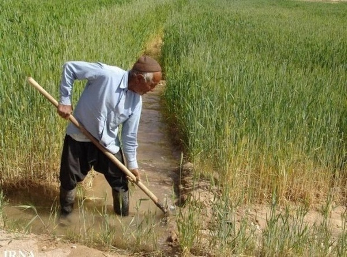 وزیر جهاد کشاورزی: کشاورزان نگران نهاده کشاورزی برای کشت پاییزه نباشند