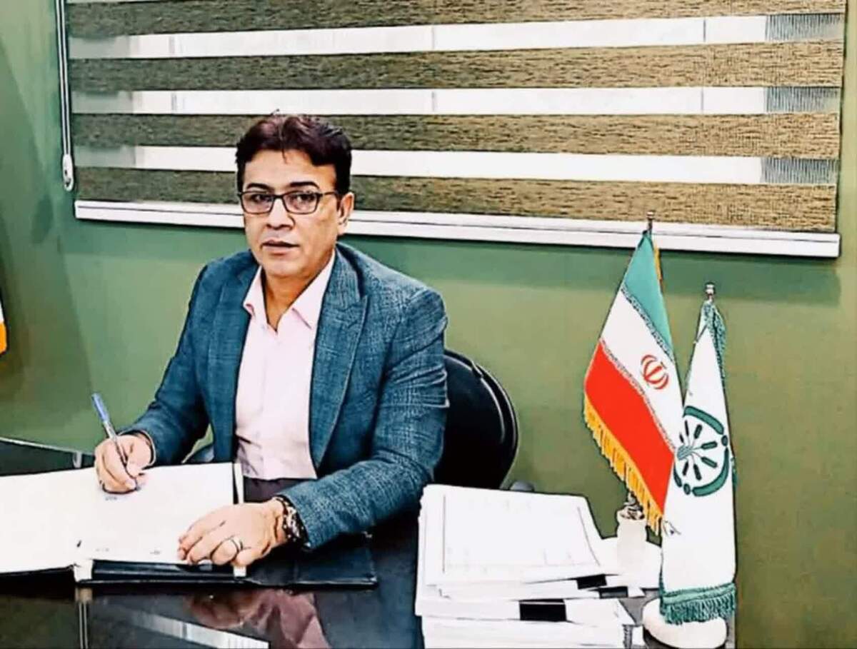 تولید 11 درصد گندم کشورتوسط استان گلستان