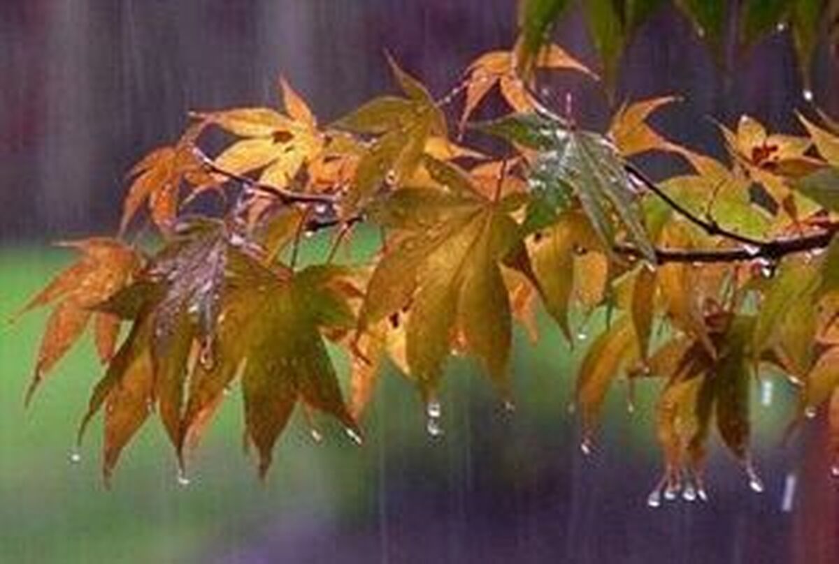 هشدار نارنجی هواشناسی برای برخی استان‌ها