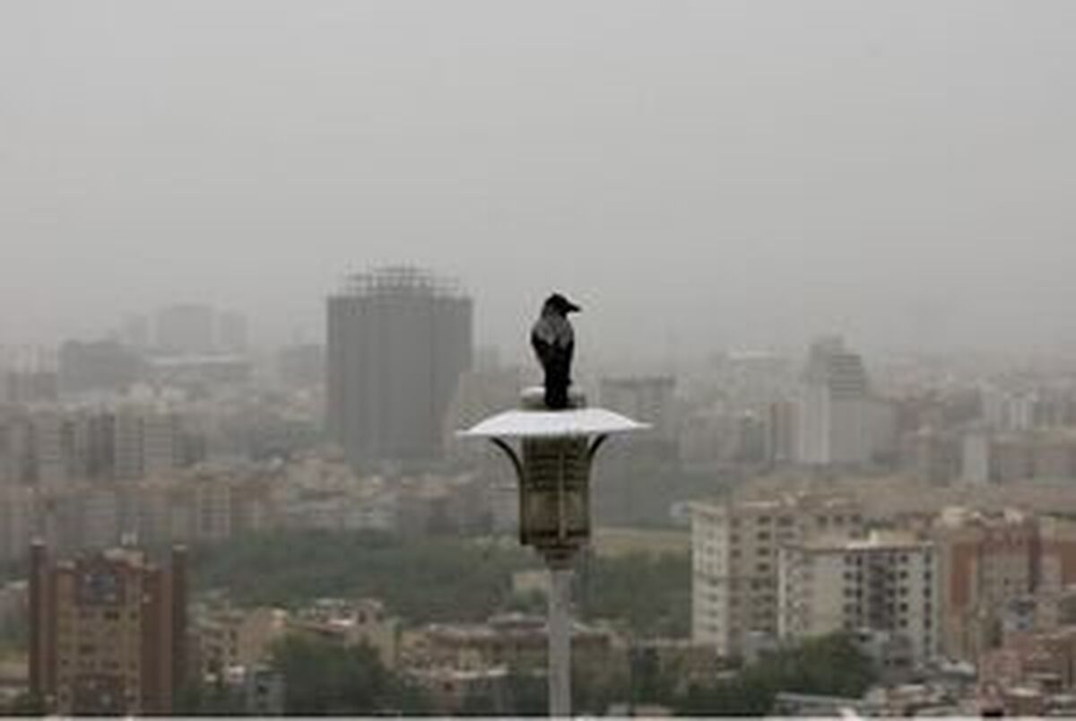 هوای پایتخت در مرز آلودگی