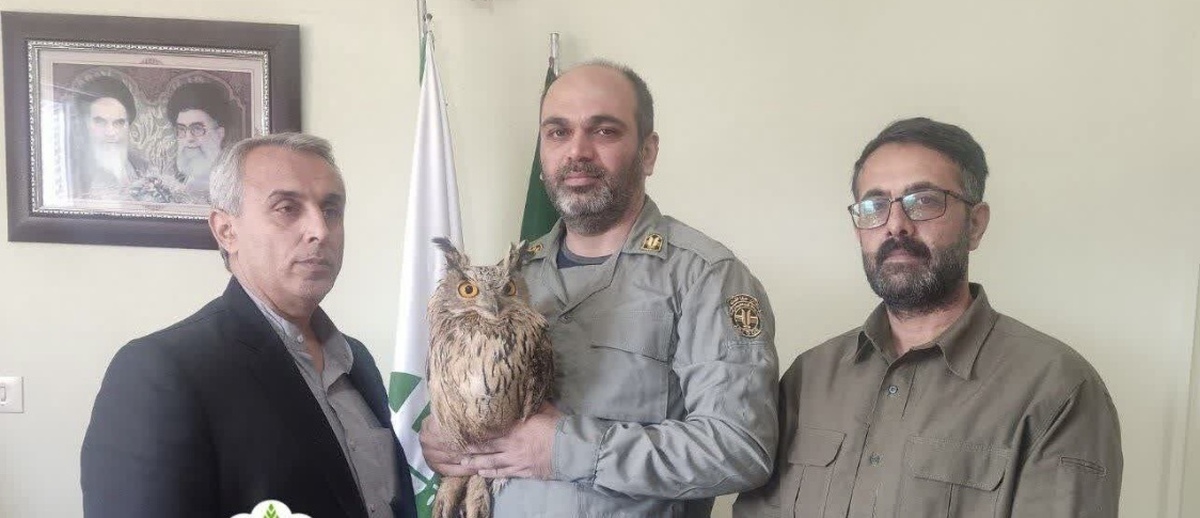 تحویل پرنده شکاری شاه بوف به محیط زیست شهرستان گرگان