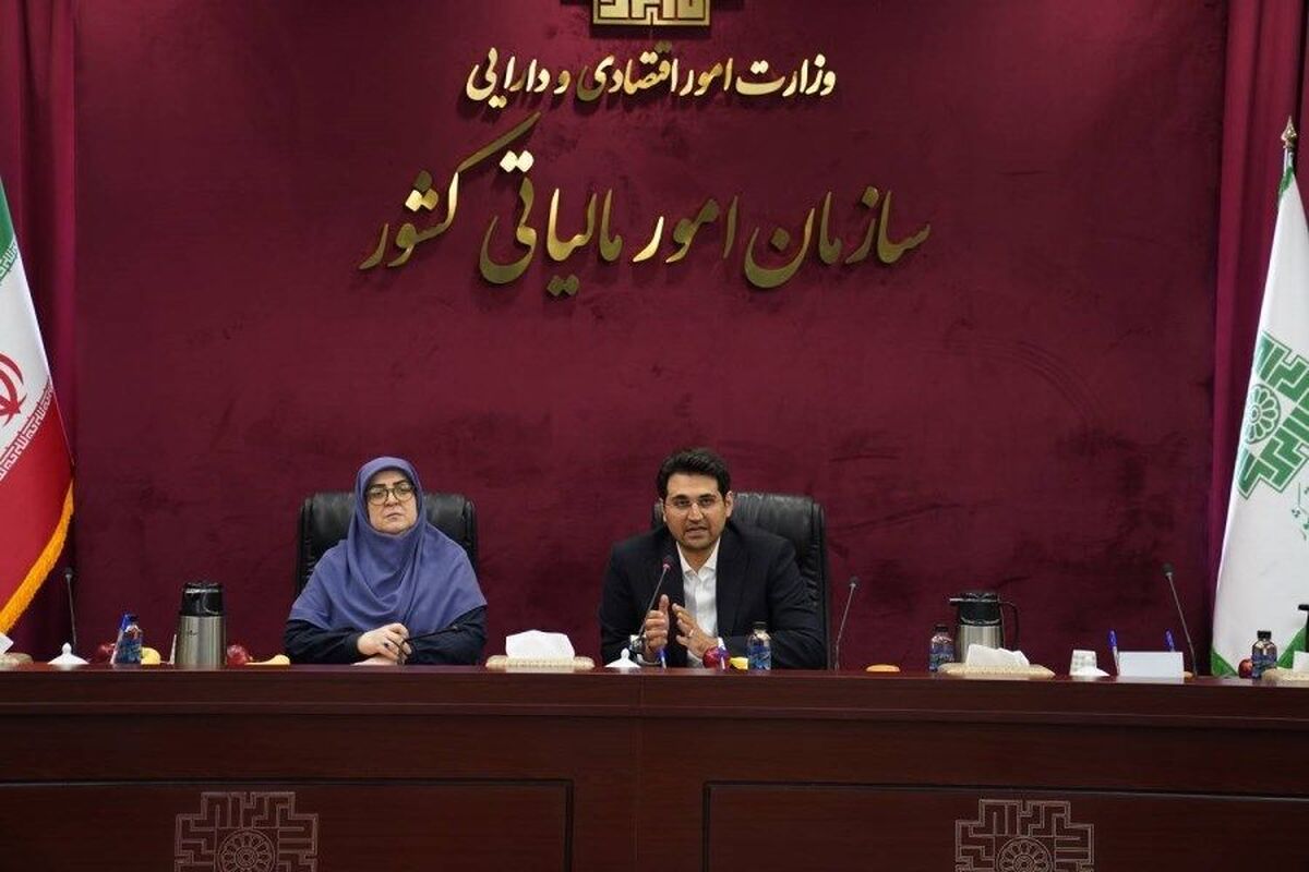 سخنگوی دولت: برای کسانی که مالیات خود را به موقع می‌پردازند از ابزار‌های تشویقی استفاده شود