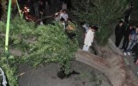 مرگ دلخراش ۲ کودک در پارک جنگلی مازندران