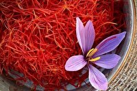 زعفران، راه‌حلی طبیعی برای بی‌خوابی