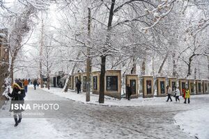 هشدار برف و باران برای تهران