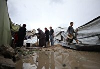 یک میلیون و پانصد هزار فلسطینی در غزه منازل خود را از دست داده‌اند