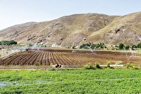 سامانه گرمسیری ایلام، پروژه‌ای ملی برای جهش کشاورزی