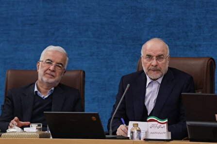 هماهنگی‌ها برای الکترونیکی شدن انتخابات انجام شده است/ ضرورت دور شدن شورا‌ها از موضوعات سیاسی