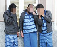 سرقت از خانه‌های شمال تهران همراه با عذر خواهی!