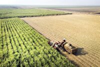 توسعه کشاورزی با انقلاب عدالت سرزمینی