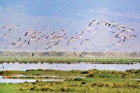 حیات نیم بند تالاب‌ها با نزولات آسمانی